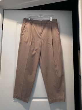 Everlane High Rise Pleated Tapered Ankle Pants Taupe Khaki Size 10